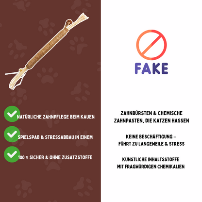 Kausticks Pro – Natürliche Zahnpflege & Spielspaß für gesunde Katzenzähne!