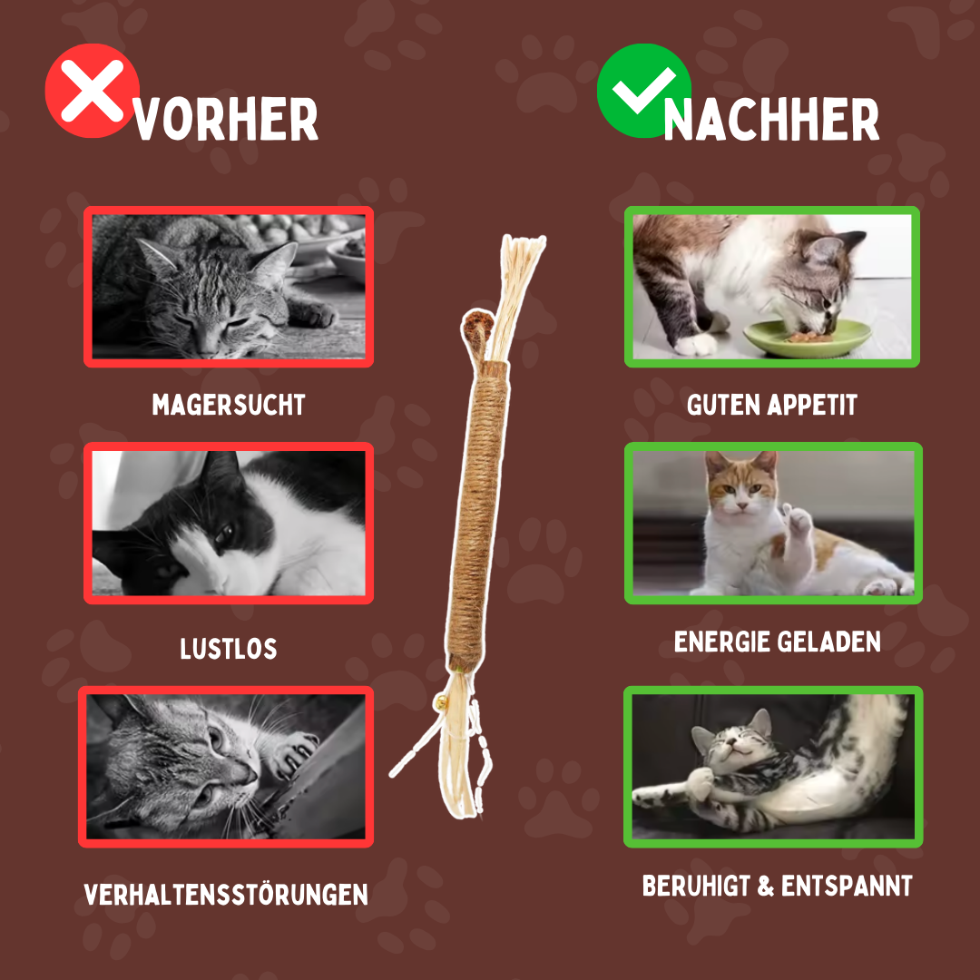 Kausticks Pro – Natürliche Zahnpflege & Spielspaß für gesunde Katzenzähne!